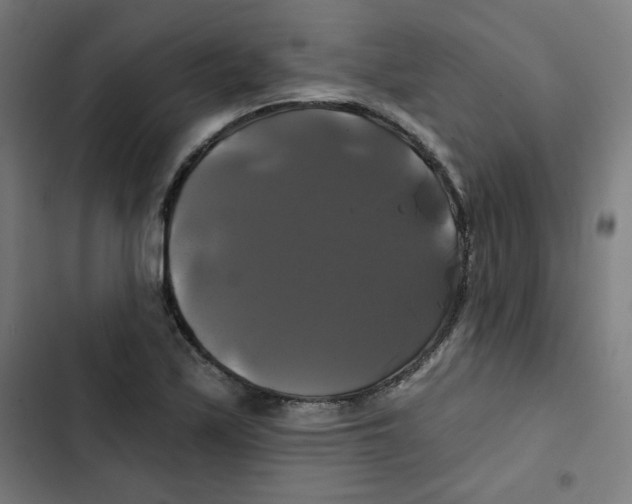 X0000102491171200809051315