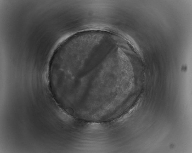 X0000102491172200809051315