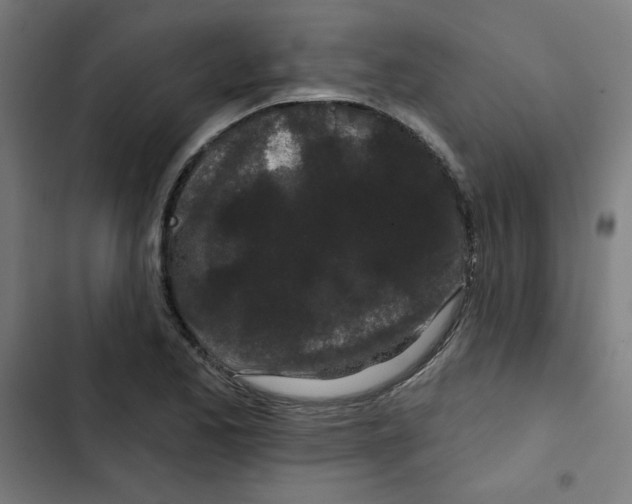 X0000102491173200809051315