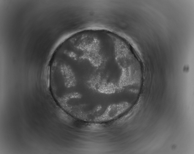 X0000102491175200809051315