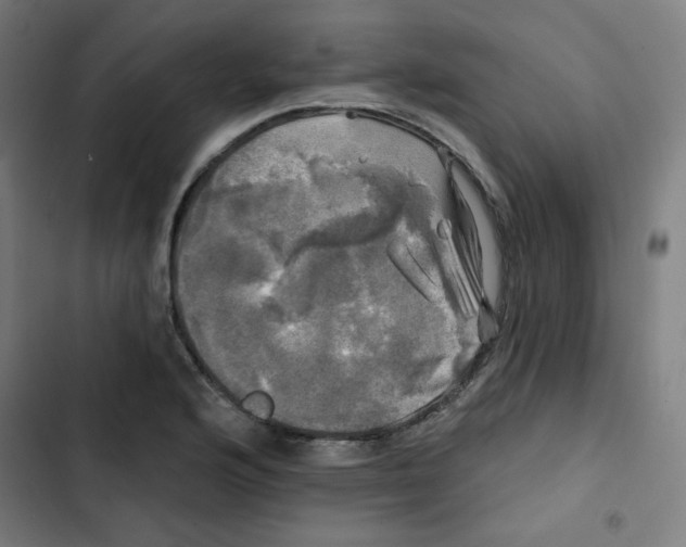 X0000102491176200809051315