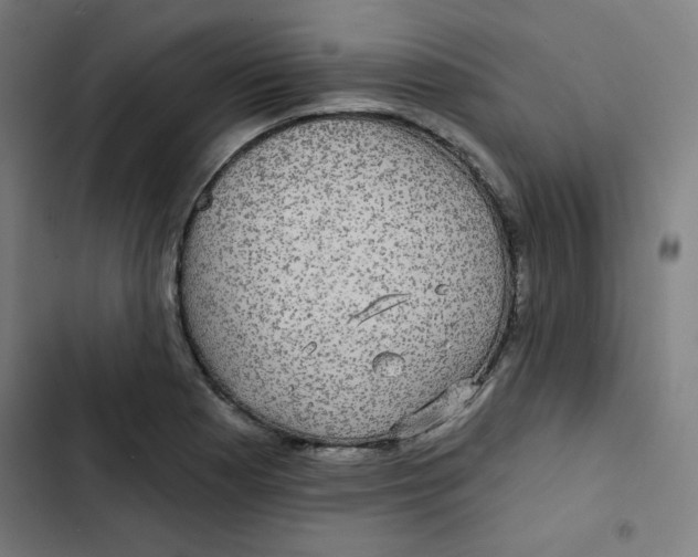 X0000102491177200809051315