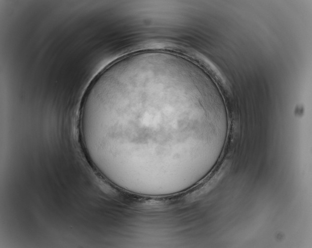 X0000102491178200809051315