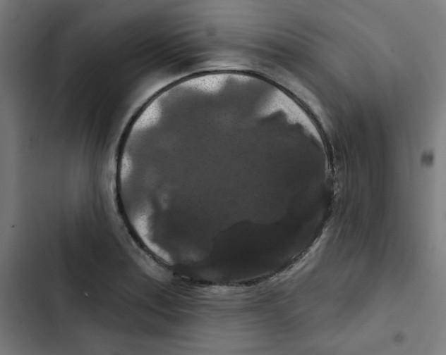 X0000102491179200809051315