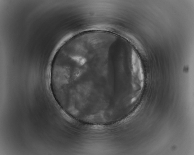 X0000102491180200809051315