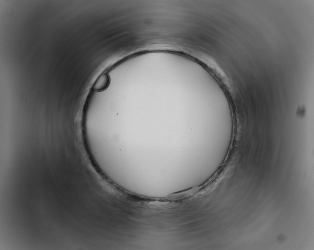 X0000102491181200809051315