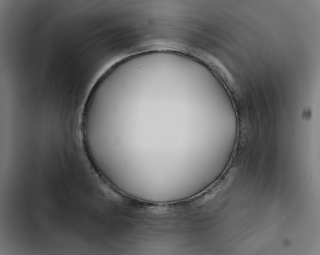 X0000102491182200809051315