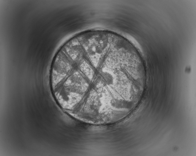 X0000102491183200809051315
