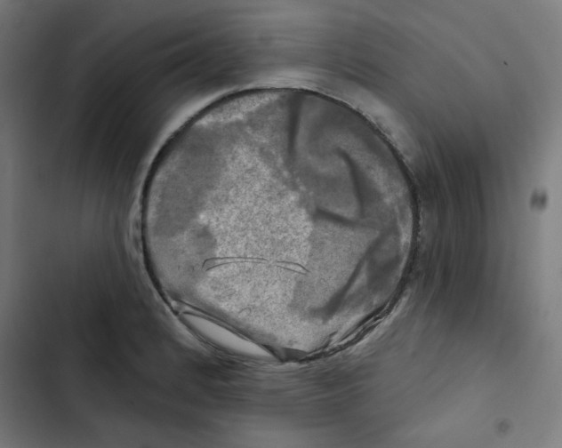 X0000102491184200809051315