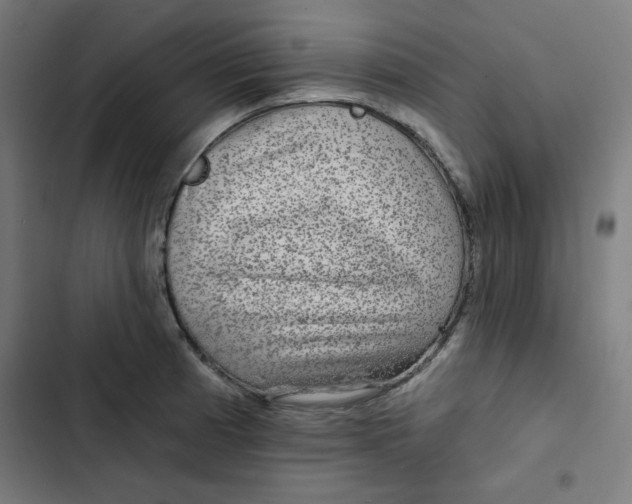 X0000102491185200809051315