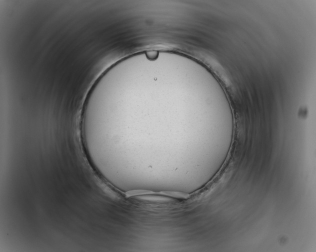 X0000102491186200809051315