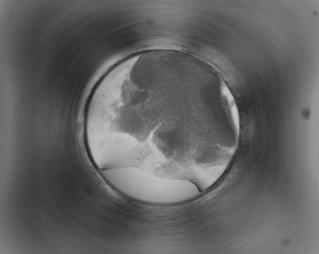 X0000102491188200809051315