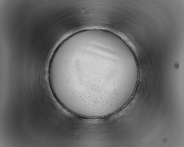 X0000102491189200809051315