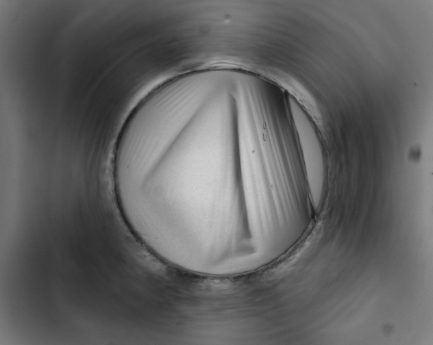 X0000102491190200809051315