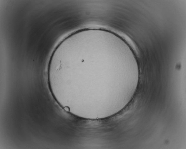 X0000102491191200809051315