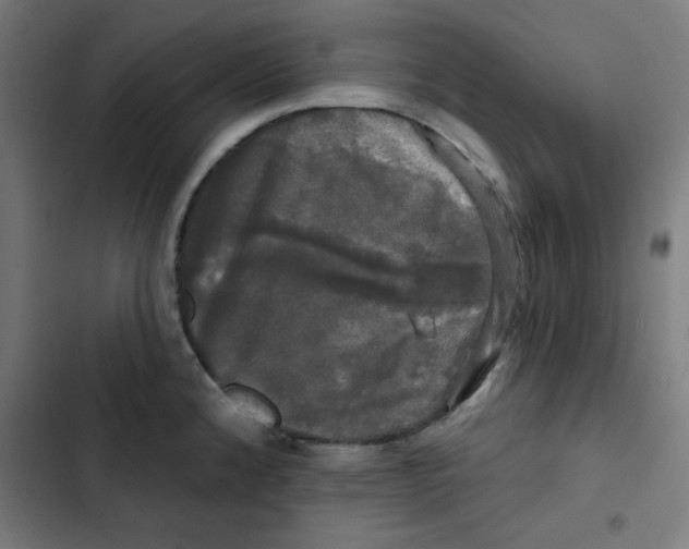 X0000102491192200809051315