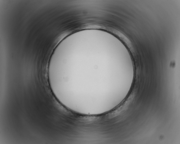 X0000102491193200809051315