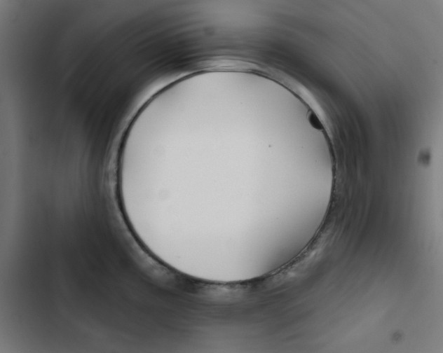 X0000102491195200809051315