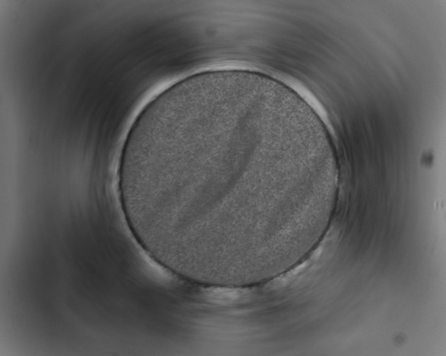 X0000102491197200809051315