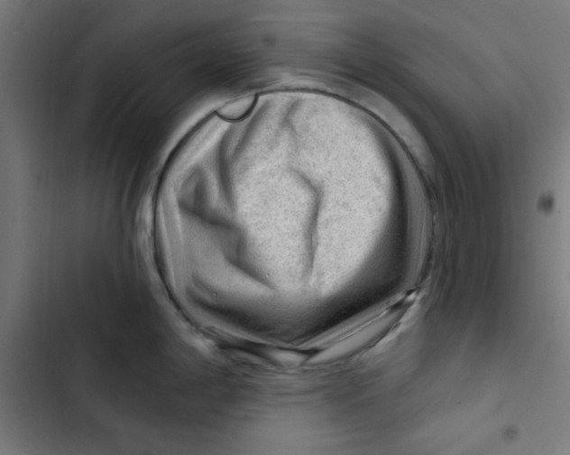 X0000102491198200809051315