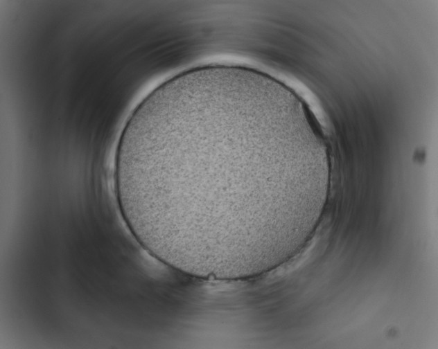 X0000102491199200809051315