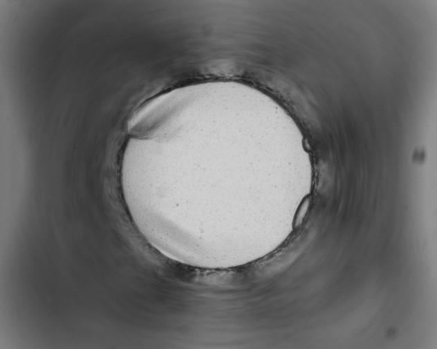 X0000102491201200809051314