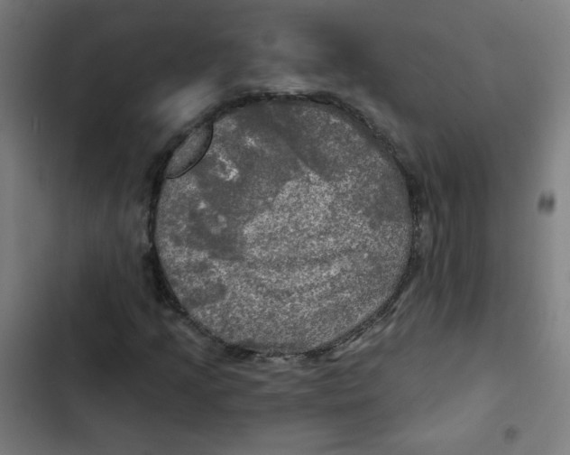 X0000102491205200809051314