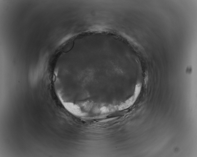 X0000102491206200809051314