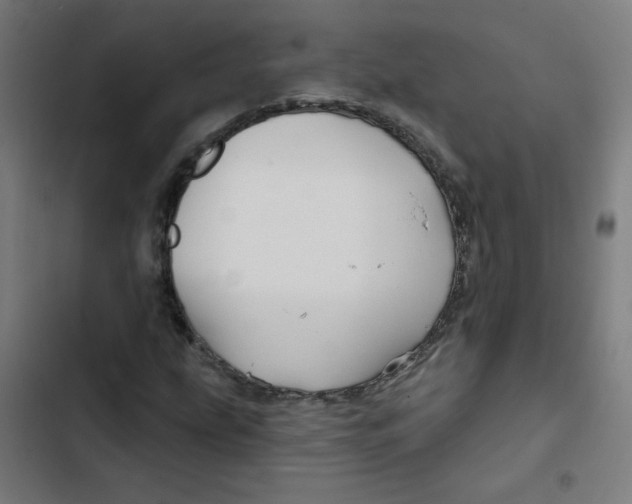 X0000102491207200809051314