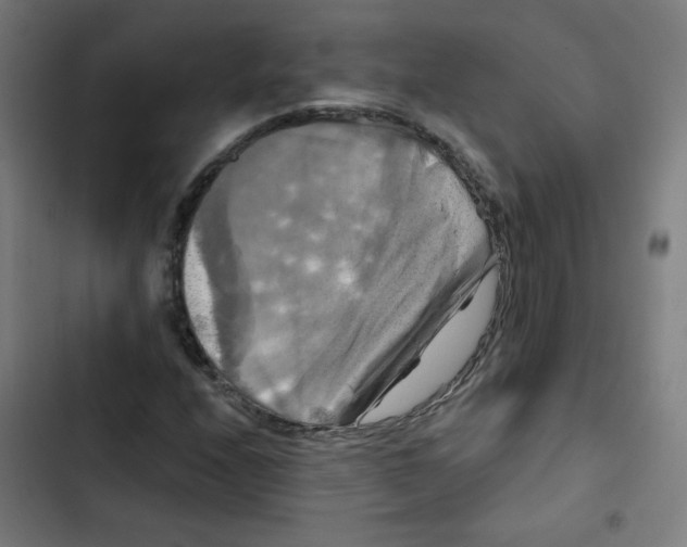 X0000102491208200809051314