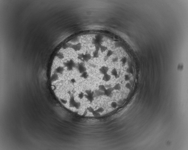 X0000102491209200809051314