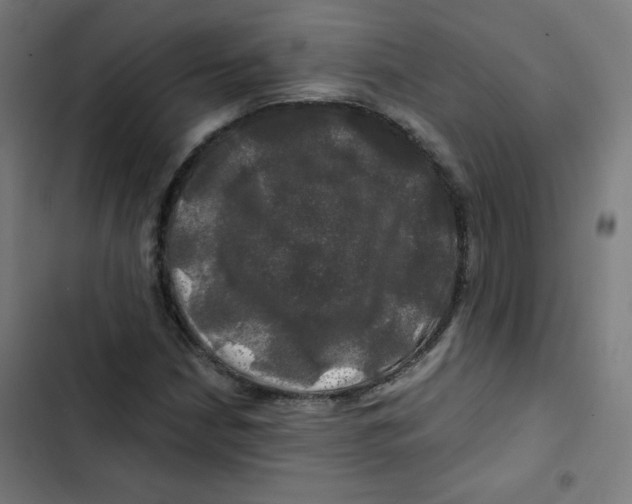 X0000102491210200809051314