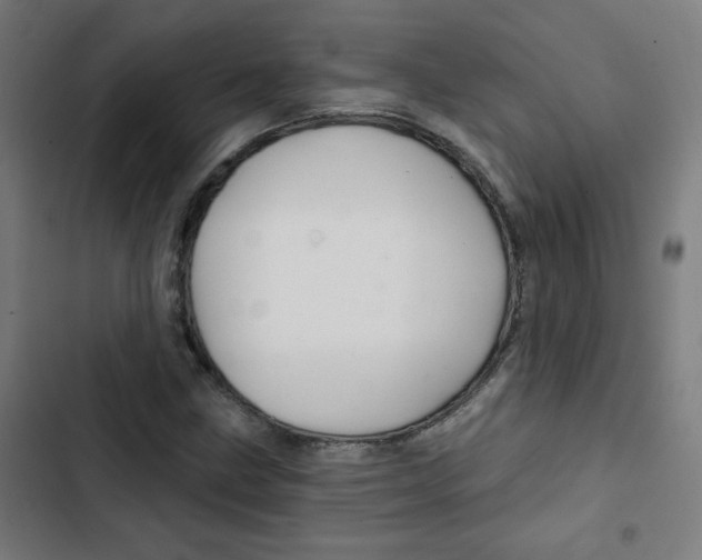 X0000102491211200809051314