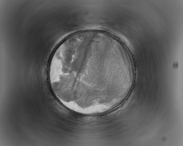 X0000102491212200809051314