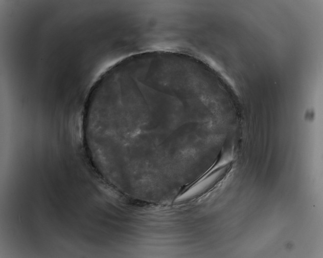 X0000102491214200809051314