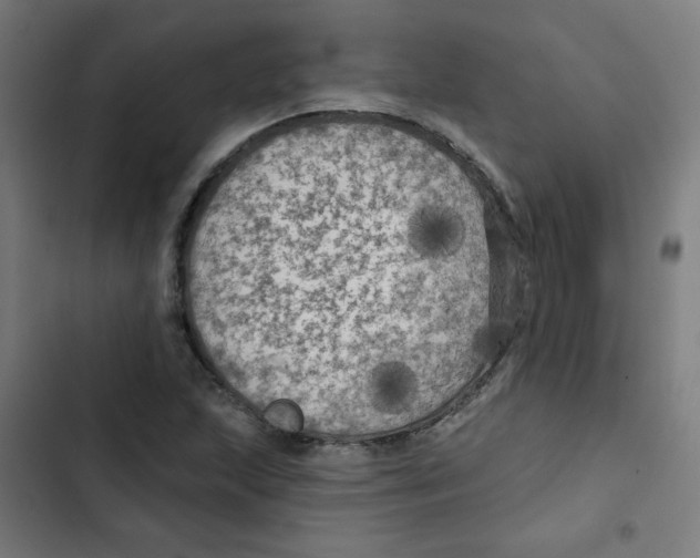 X0000102491215200809051314