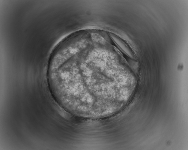 X0000102491216200809051314