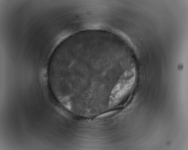 X0000102491218200809051314