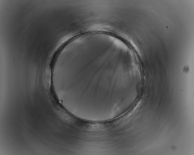 X0000102491219200809051314