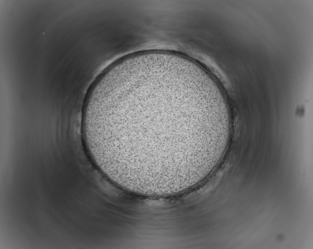 X0000102491220200809051314