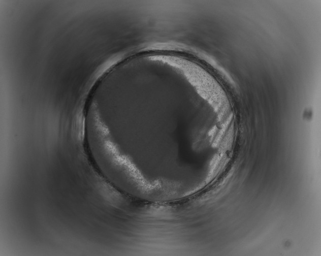 X0000102491221200809051314