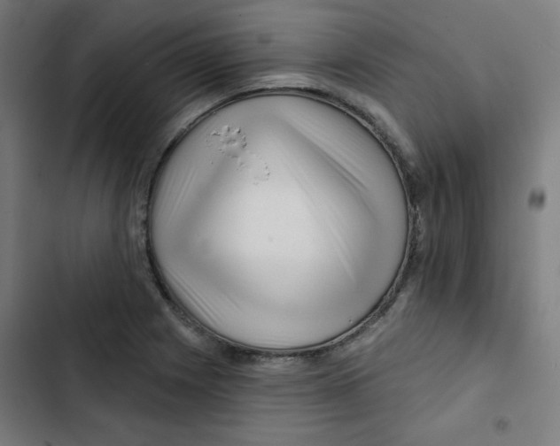 X0000102491225200809051314