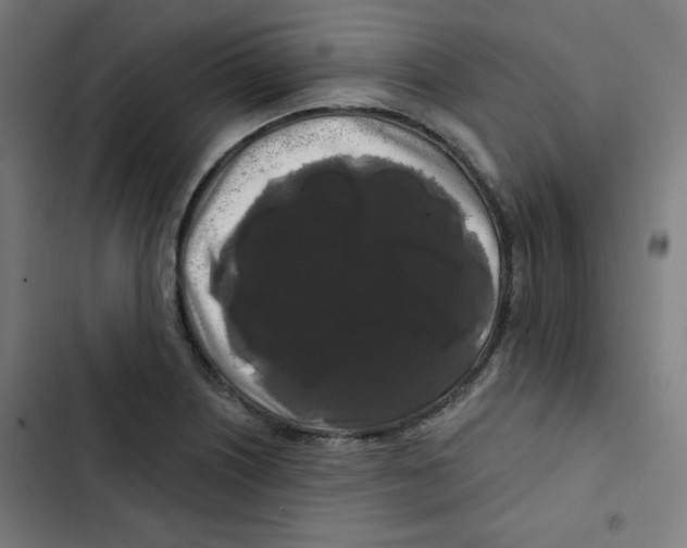 X0000102491226200809051314