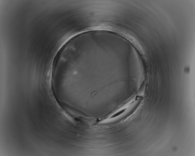 X0000102491228200809051314