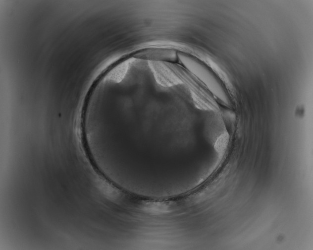 X0000102491229200809051314