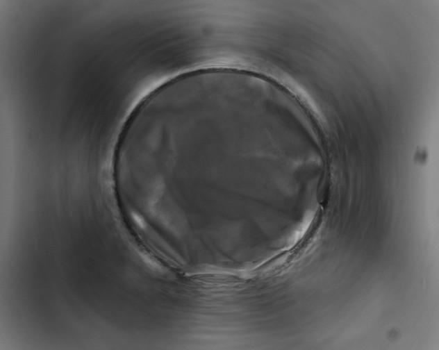 X0000102491230200809051314