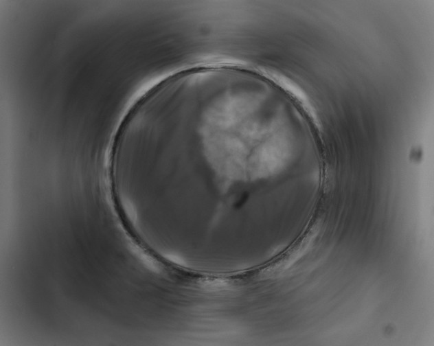 X0000102491231200809051314