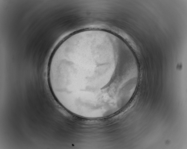 X0000102491232200809051314