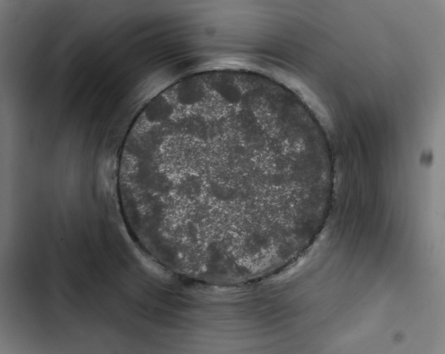 X0000102491233200809051314