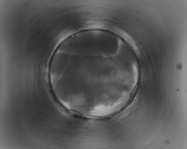 X0000102491234200809051314